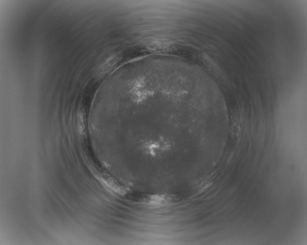 X0000080710130200701021038