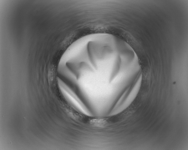 X0000080710133200701021038