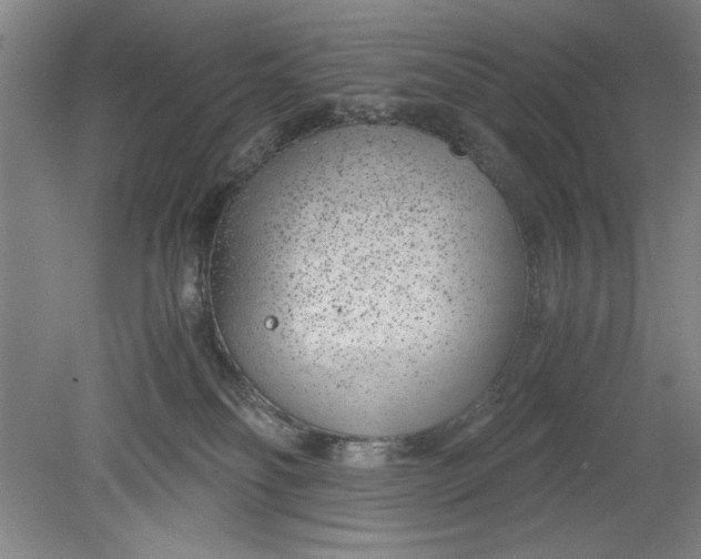 X0000080710134200701021038