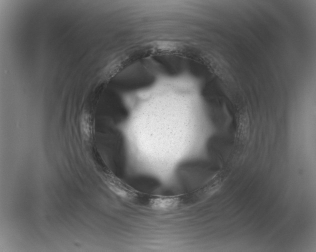 X0000080710135200701021038