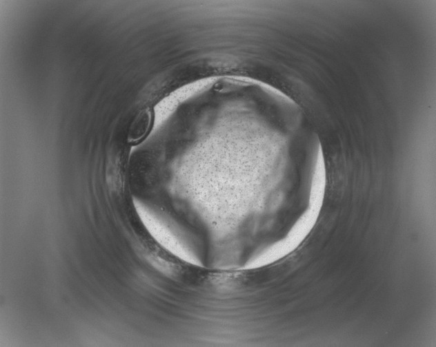 X0000080710136200701021038