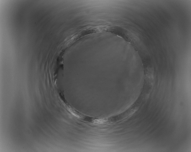 X0000080710139200701021038