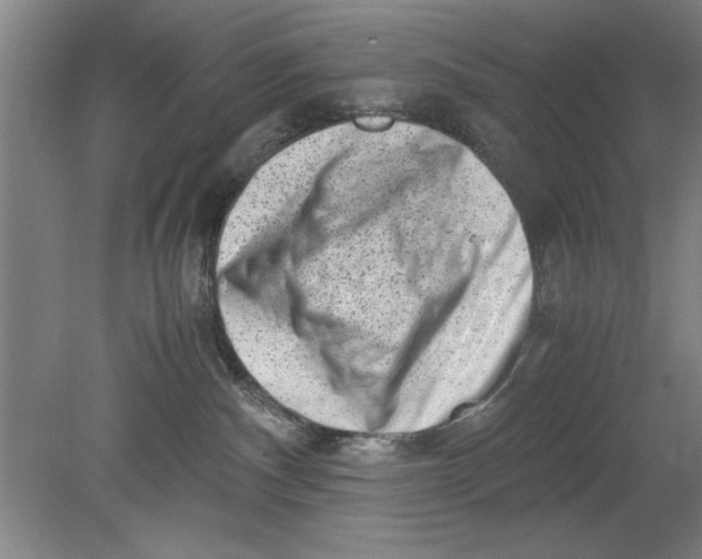 X0000080710140200701021038