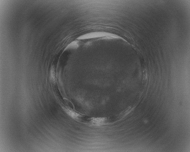 X0000080710143200701021038