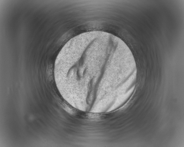 X0000080710144200701021038