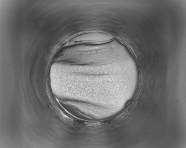 X0000080710145200701021037