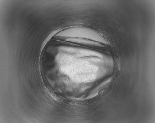 X0000080710147200701021037