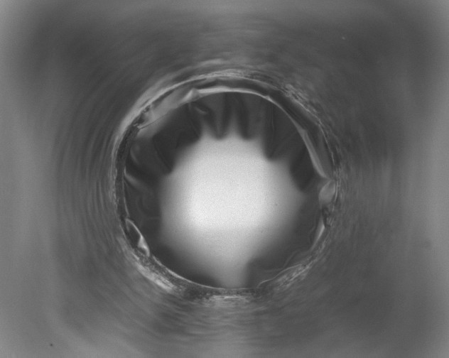 X0000080710150200701021037