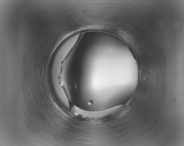 X0000080710156200701021037