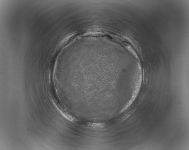 X0000080710157200701021037