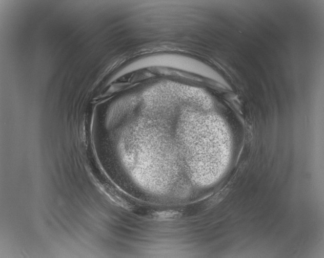 X0000080710158200701021037