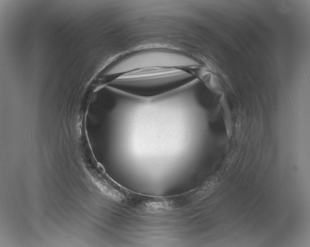 X0000080710160200701021037