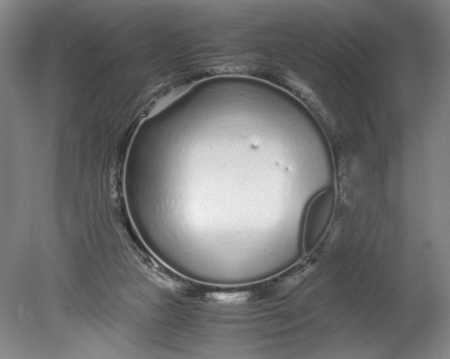 X0000080710161200701021037