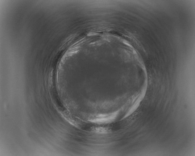 X0000080710163200701021037