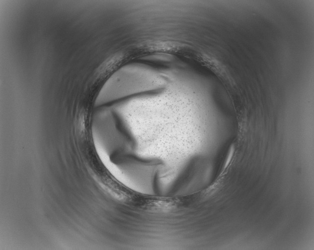 X0000080710166200701021037