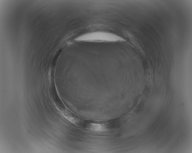 X0000080710167200701021037