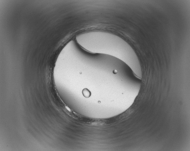 X0000080710168200701021037