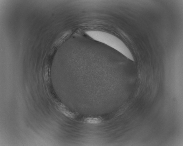 X0000080710169200701021037