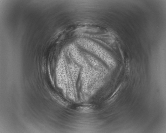 X0000080710170200701021037