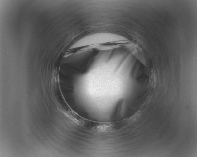 X0000080710172200701021037