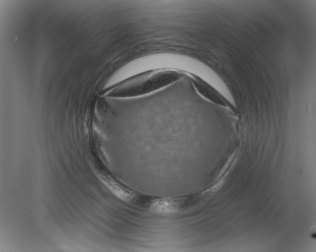 X0000080710174200701021038