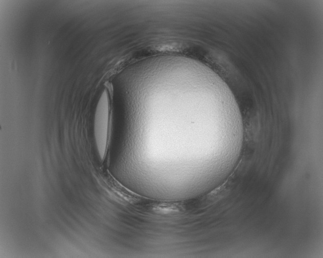 X0000080710175200701021038