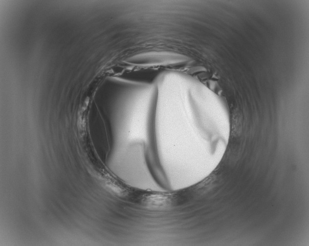 X0000080710176200701021038