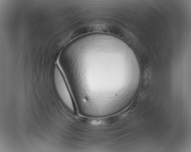 X0000080710177200701021038