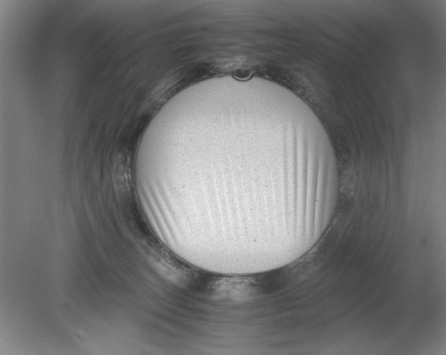 X0000080710179200701021038