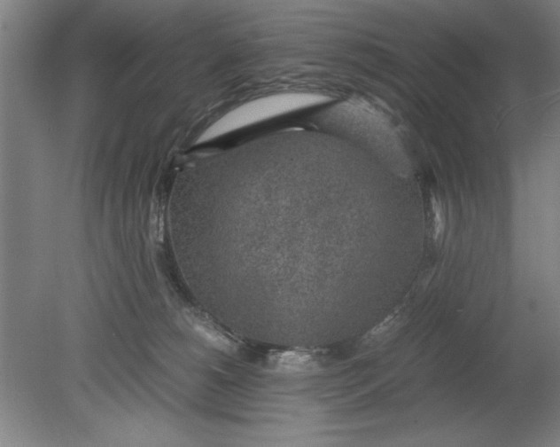 X0000080710180200701021038