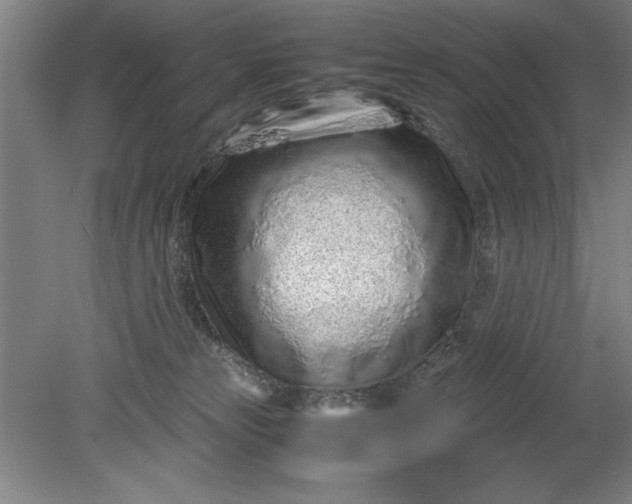 X0000080710181200701021038