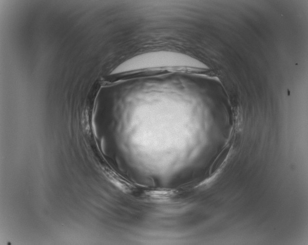 X0000080710182200701021038