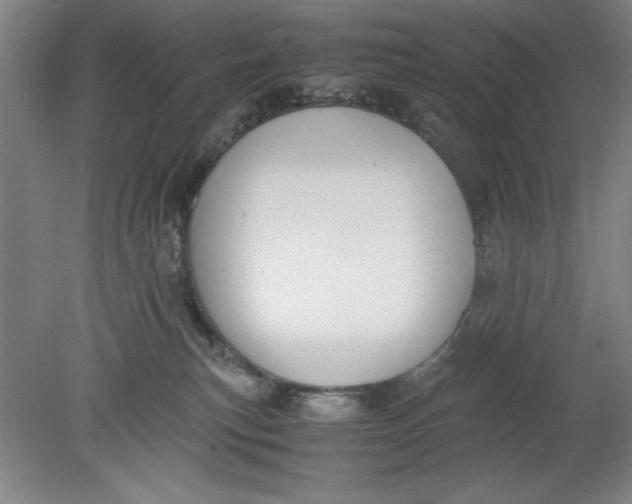 X0000080710183200701021038