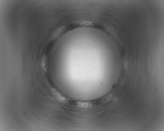 X0000080710185200701021038