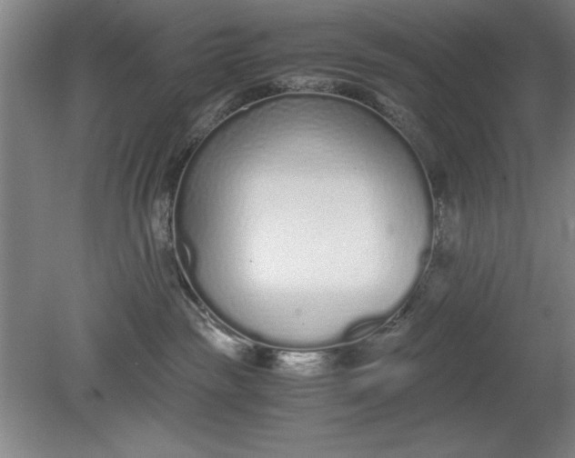 X0000080710189200701021038