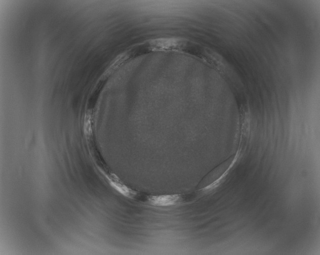 X0000080710191200701021038