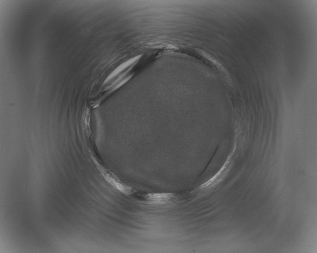 X0000080710192200701021038