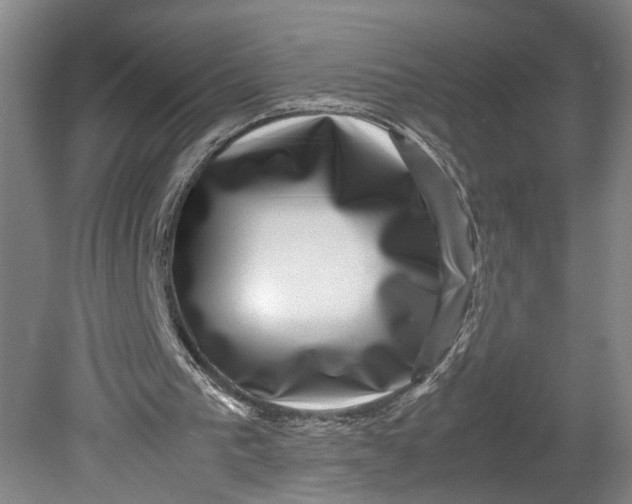 X0000080710193200701021037