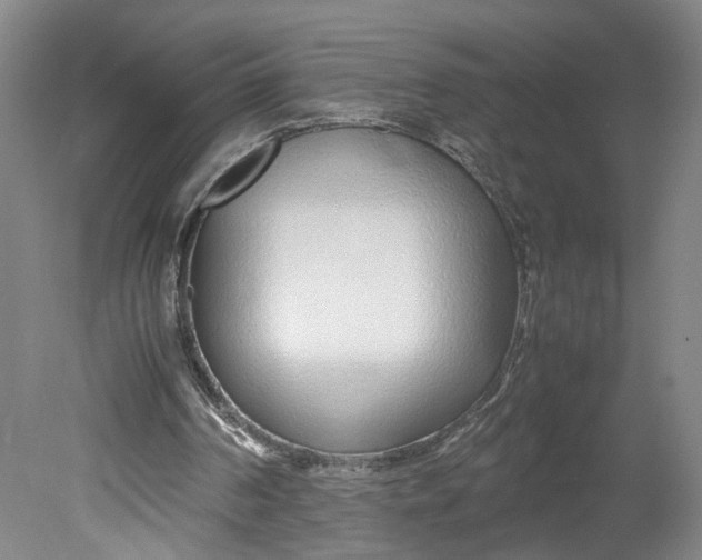 X0000080710194200701021037