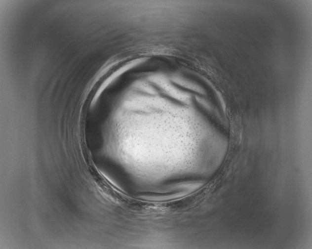 X0000080710195200701021037