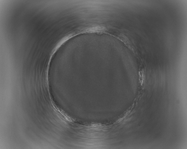 X0000080710196200701021037