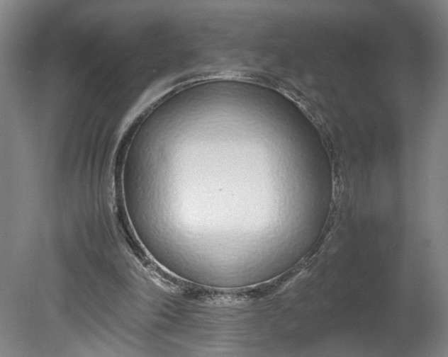 X0000080710198200701021037