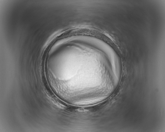 X0000080710199200701021037