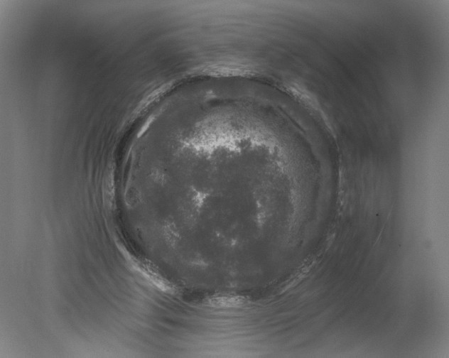 X0000080710202200701021037