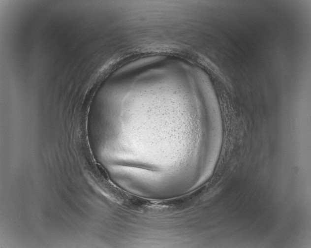 X0000080710203200701021037