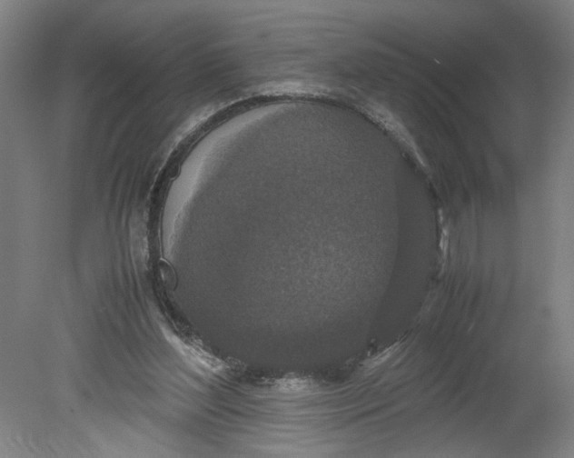 X0000080710204200701021037