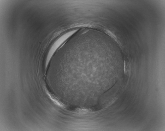 X0000080710205200701021037