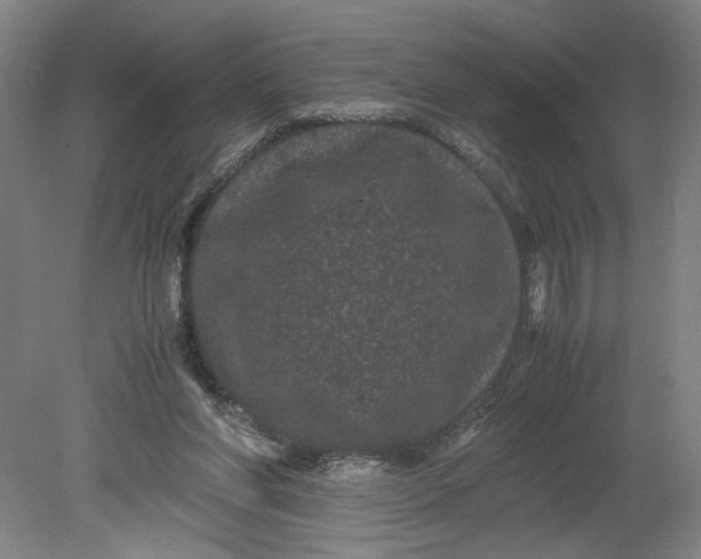 X0000080710206200701021037