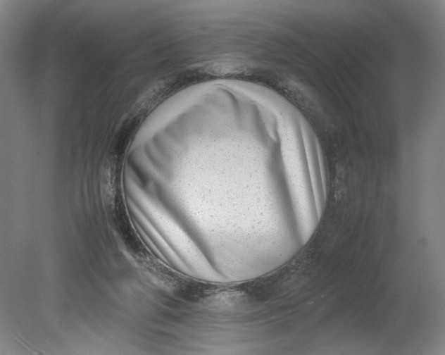 X0000080710210200701021037