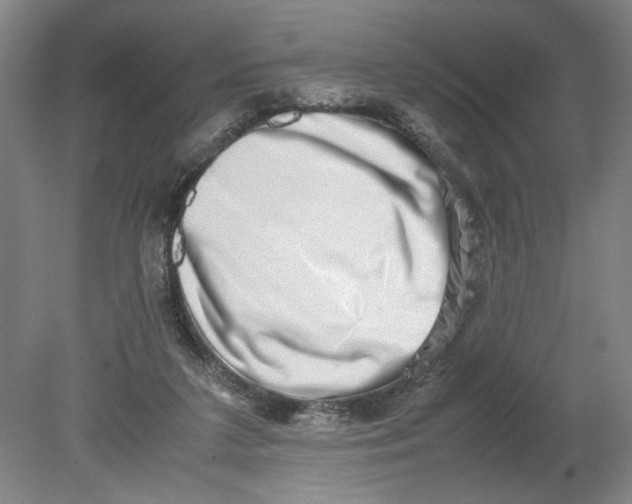 X0000080710211200701021037